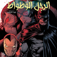 Batman #17
