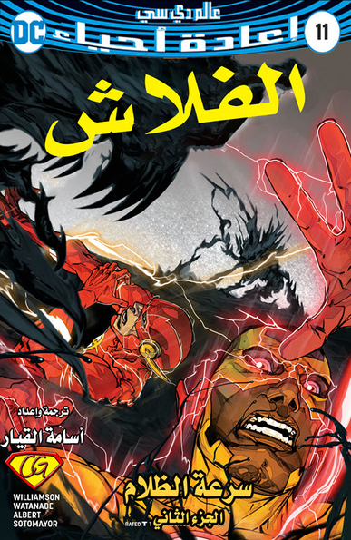 The Flash #11
