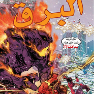 The Flash #13