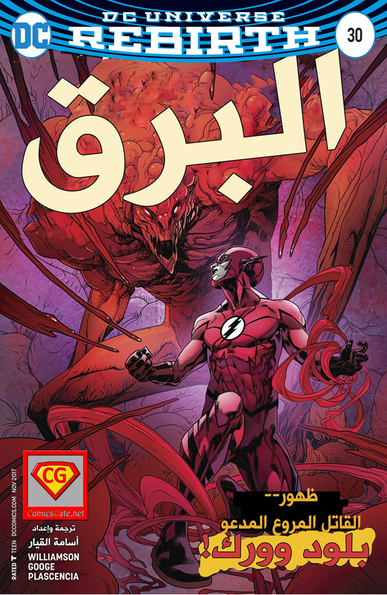 The Flash #30